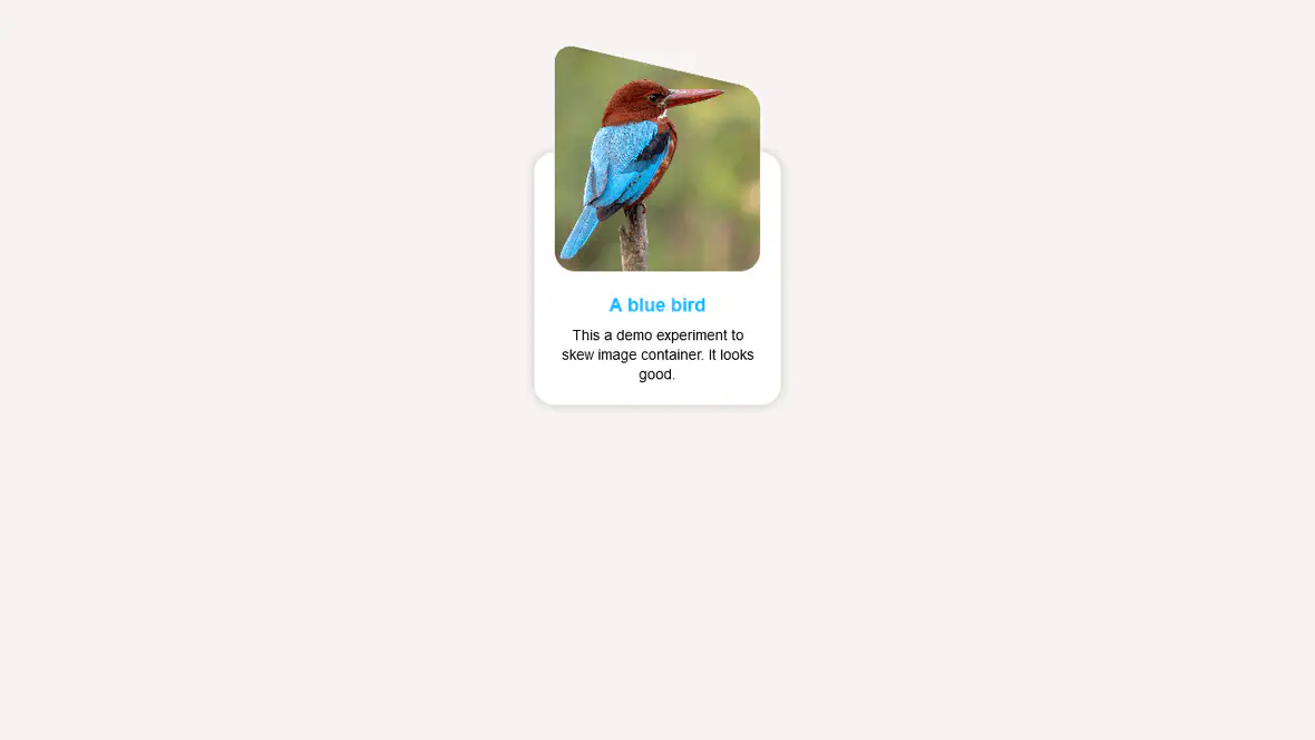 Image